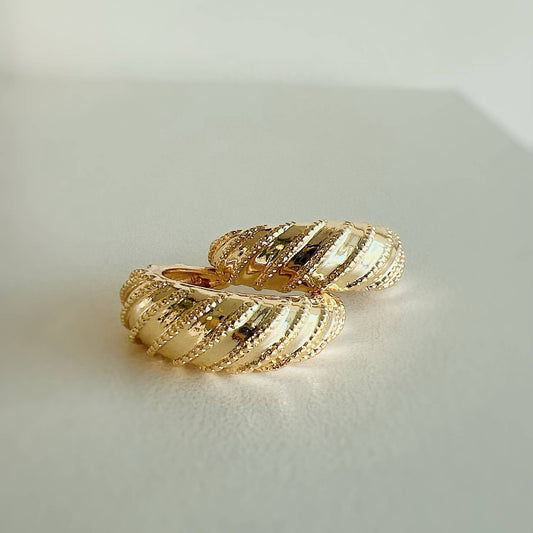 Ryan Croissant Hoops