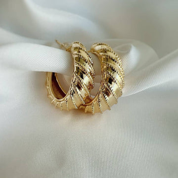 Ryan Croissant Hoops
